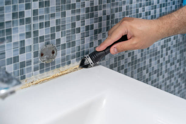 Best Fast Mold Removal  in Wellington, FL